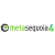 Metasequoia 4.8.6d полная версия