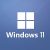 Windows 11 Pro x64 Rus + активатор