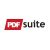 PDF Suite 2021 Professional+OCR 19.0.36.0001 с таблеткой